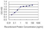 DLGAP1 Antibody in ELISA (ELISA)