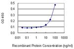 DLG5 Antibody in ELISA (ELISA)