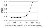 NOG Antibody in ELISA (ELISA)