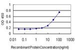 TRIP13 Antibody in ELISA (ELISA)