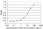 SNAP29 Antibody in ELISA (ELISA)