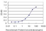 TAOK2 Antibody in ELISA (ELISA)