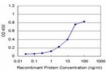 RAB9A Antibody in ELISA (ELISA)