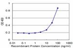 PLAA Antibody in ELISA (ELISA)