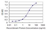 COX5A Antibody in ELISA (ELISA)