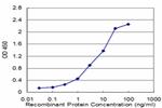 ZNF265 Antibody in ELISA (ELISA)