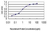 MAP4K4 Antibody in ELISA (ELISA)