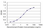 MAP4K4 Antibody in ELISA (ELISA)