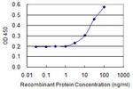 HOMER1 Antibody in ELISA (ELISA)