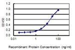 XAGE1D Antibody in ELISA (ELISA)