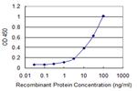 ADAMTS1 Antibody in ELISA (ELISA)