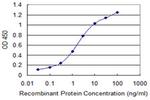 PMPCB Antibody in ELISA (ELISA)