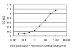 POLR1C Antibody in ELISA (ELISA)