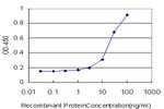 NR1D1 Antibody in ELISA (ELISA)