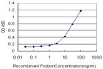 GDF3 Antibody in ELISA (ELISA)