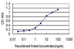 ABCG1 Antibody in ELISA (ELISA)