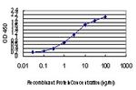 AATK Antibody in ELISA (ELISA)