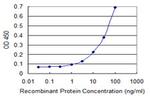 IKBKE Antibody in ELISA (ELISA)