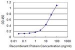 HERPUD1 Antibody in ELISA (ELISA)