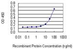 PHACTR2 Antibody in ELISA (ELISA)