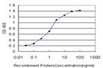 MAGI2 Antibody in ELISA (ELISA)