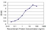 SETDB1 Antibody in ELISA (ELISA)