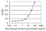 ARNT2 Antibody in ELISA (ELISA)