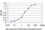 HELZ Antibody in ELISA (ELISA)