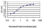 AKT3 Antibody in ELISA (ELISA)