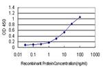 NR2E3 Antibody in ELISA (ELISA)