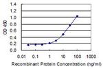 MAMLD1 Antibody in ELISA (ELISA)