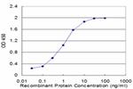 COX17 Antibody in ELISA (ELISA)