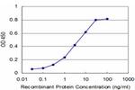 SCAMP3 Antibody in ELISA (ELISA)