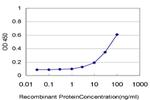 IL18BP Antibody in ELISA (ELISA)