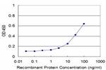 TSPAN1 Antibody in ELISA (ELISA)