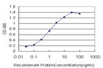 SGK2 Antibody in ELISA (ELISA)