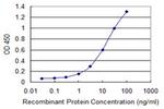 IGSF6 Antibody in ELISA (ELISA)