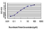 IRX5 Antibody in ELISA (ELISA)