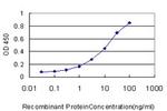 IRX5 Antibody in ELISA (ELISA)