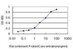 IRX5 Antibody in ELISA (ELISA)