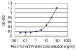 RAMP1 Antibody in ELISA (ELISA)