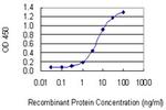 LANCL1 Antibody in ELISA (ELISA)