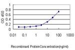 ISGF3G Antibody in ELISA (ELISA)