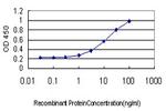 NDRG1 Antibody in ELISA (ELISA)