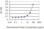 OLFM1 Antibody in ELISA (ELISA)