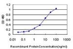 GPNMB Antibody in ELISA (ELISA)