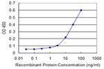 MERTK Antibody in ELISA (ELISA)