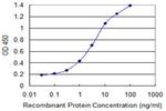 CLEC10A Antibody in ELISA (ELISA)