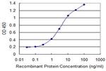 CLEC10A Antibody in ELISA (ELISA)