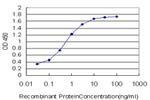 BATF Antibody in ELISA (ELISA)